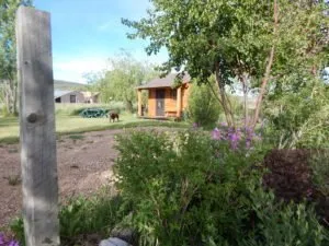 Woodland Farmhouse Inn